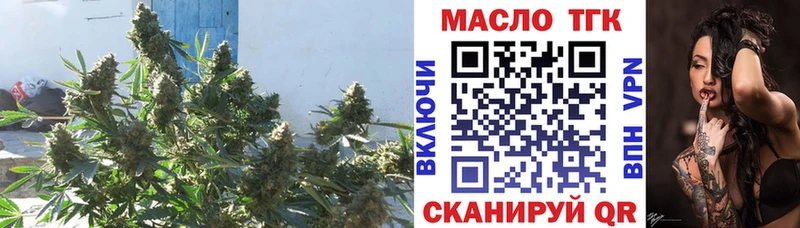 ТГК THC oil  дарнет шоп  Волчанск 