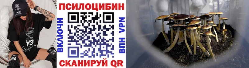 Псилоцибиновые грибы Magic Shrooms  даркнет официальный сайт  ссылка на мегу маркетплейс  Волчанск  даркнет сайт 
